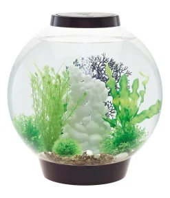 biOrb® Aquarium Classic 30 MCR Schwarz New