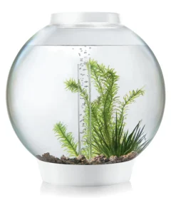 biOrb® Einsteiger Aquarien|Einzel Aquarien - Aquarium Classic 30 MCR Weiß
