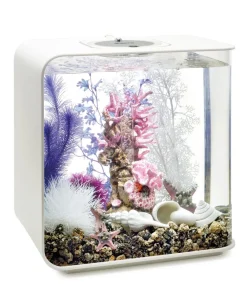 biOrb® Deko - Aquariumdeko Decor Set 30 l Pink Ocean