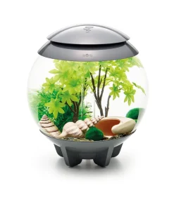biOrb® Aquariumdeko Decor Set 15 l Sommer Sale