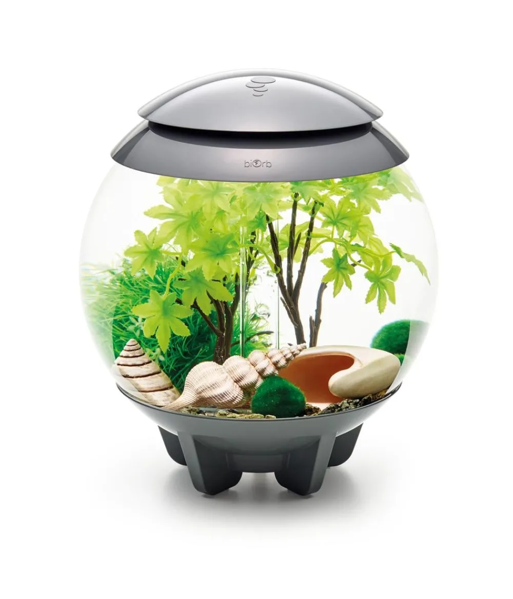 biOrb® Aquariumdeko Decor Set 15 l Sommer Sale