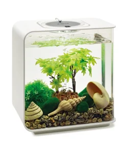 biOrb® Aquariumdeko Decor Set 15 l Sommer Sale