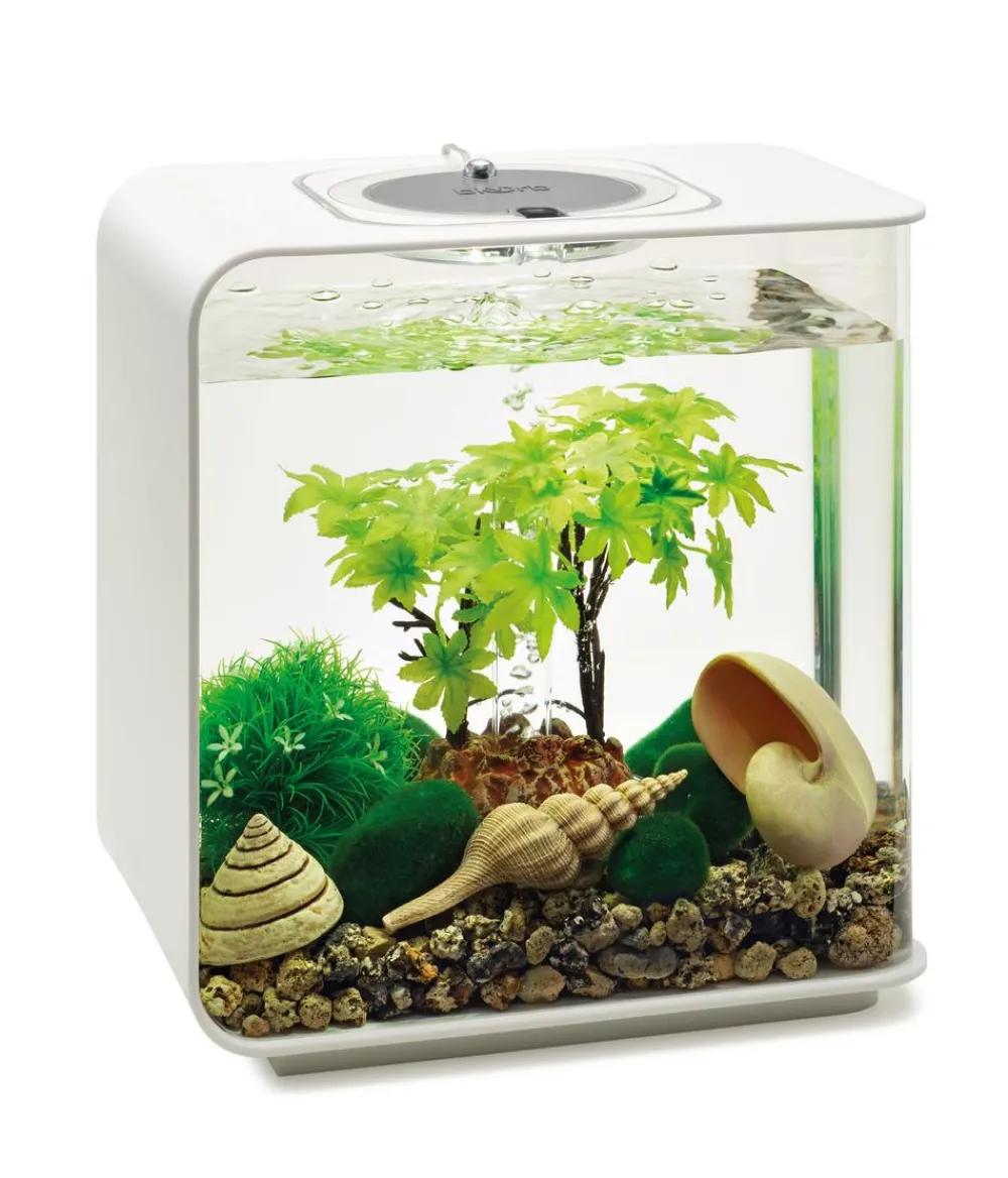 biOrb® Aquariumdeko Decor Set 15 l Sommer Sale