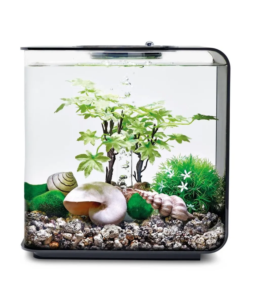 biOrb® Aquariumdeko Decor Set 15 l Sommer Sale