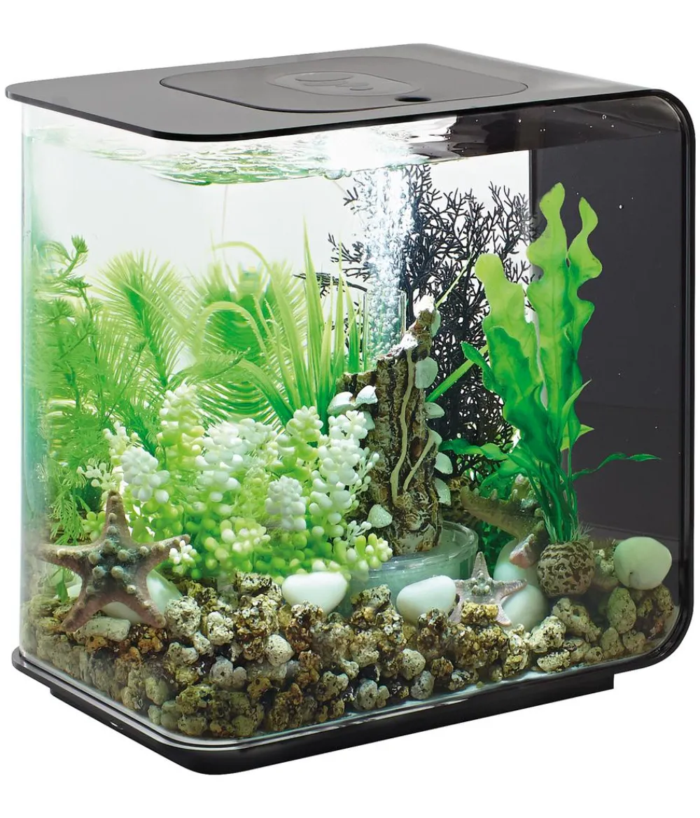 biOrb® Einsteiger Aquarien|Einzel Aquarien > Aquarium FLOW 15 LED