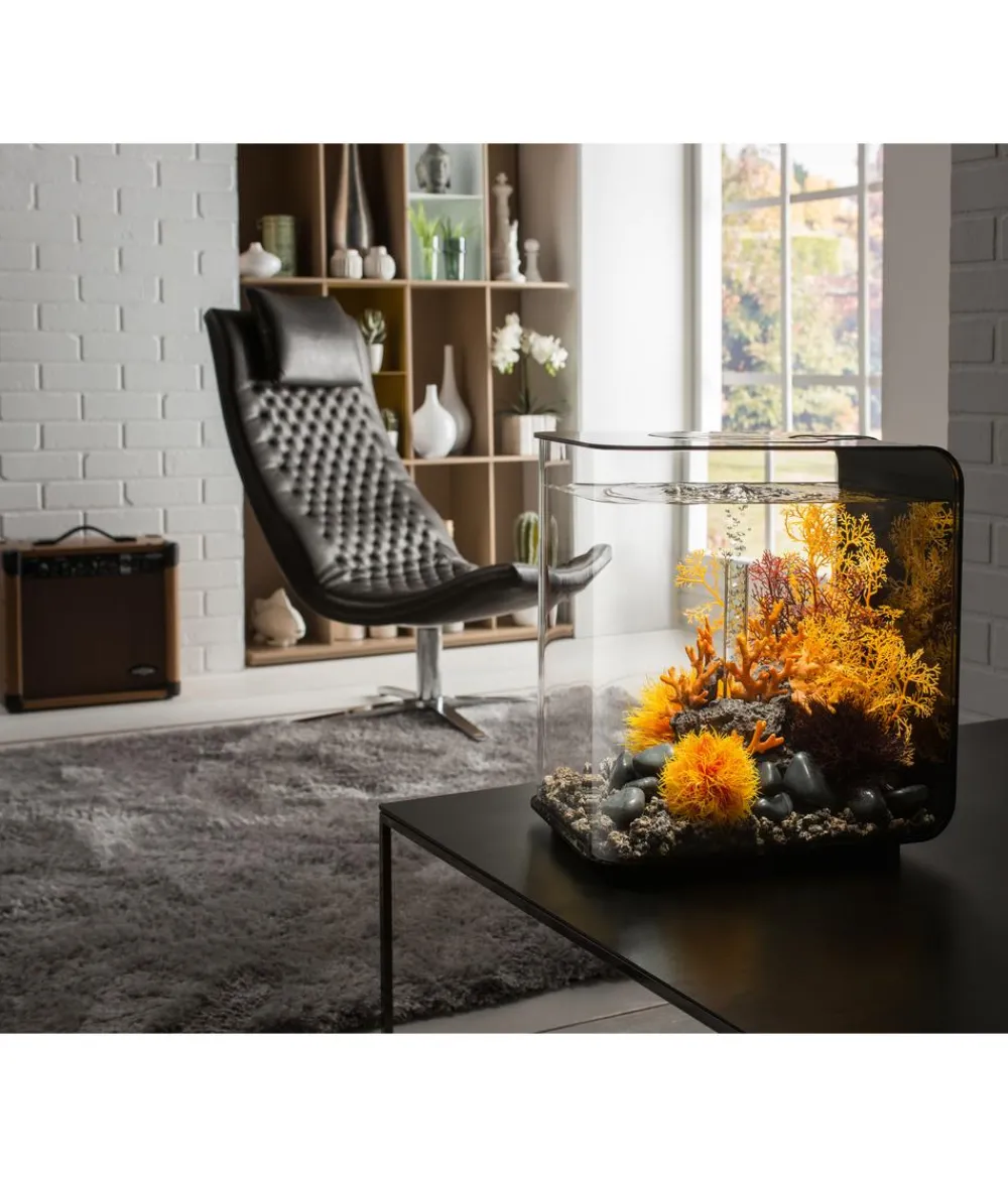 biOrb® Einsteiger Aquarien|Einzel Aquarien - Aquarium FLOW 30 LED Schwarz