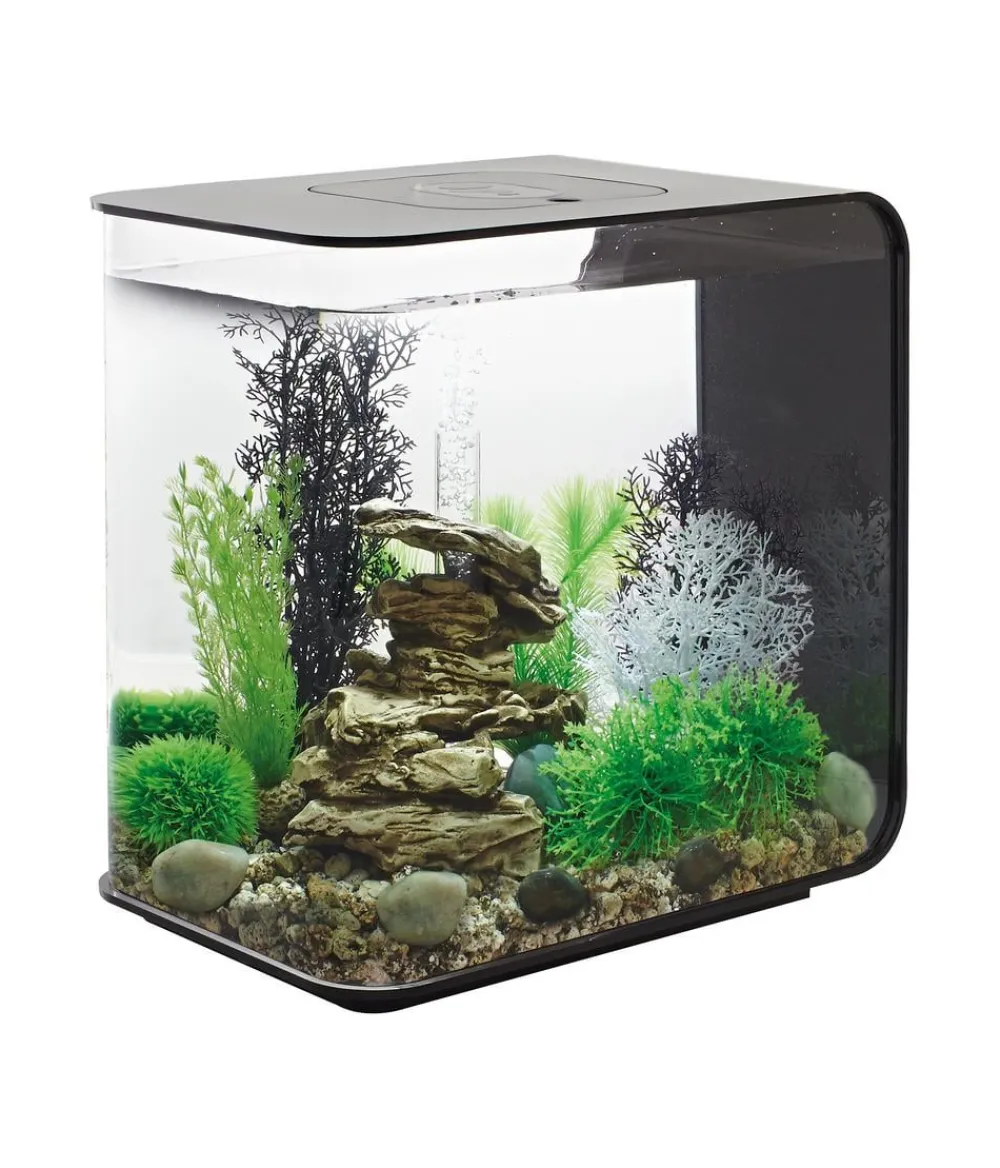 biOrb® Einsteiger Aquarien|Einzel Aquarien - Aquarium FLOW 30 LED Schwarz