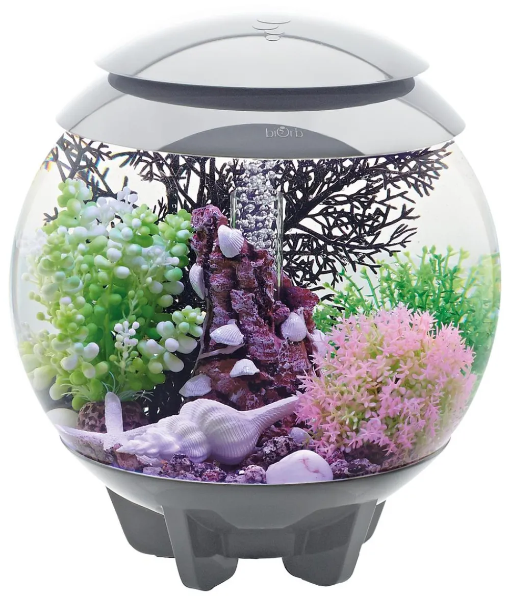 biOrb® Einsteiger Aquarien|Einzel Aquarien > Aquarium HALO 15 MCR