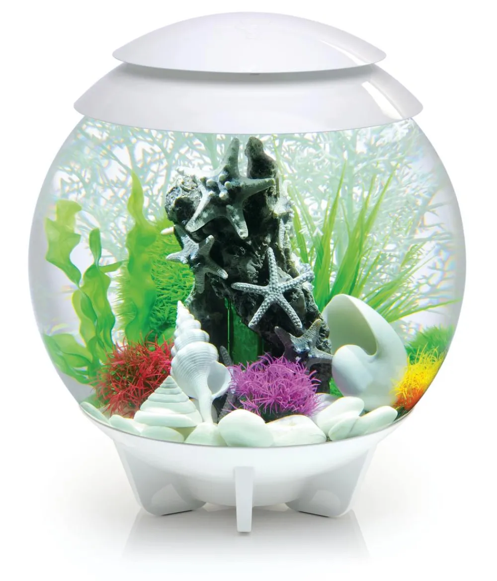 biOrb® Einsteiger Aquarien|Einzel Aquarien - Aquarium HALO 30 MCR Weiß