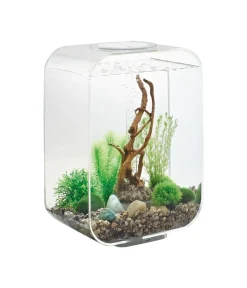 biOrb® Einsteiger Aquarien|Einzel Aquarien > Aquarium LIFE 15 LED