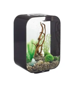 biOrb® Einsteiger Aquarien|Einzel Aquarien - Aquarium LIFE 15 LED Schwarz