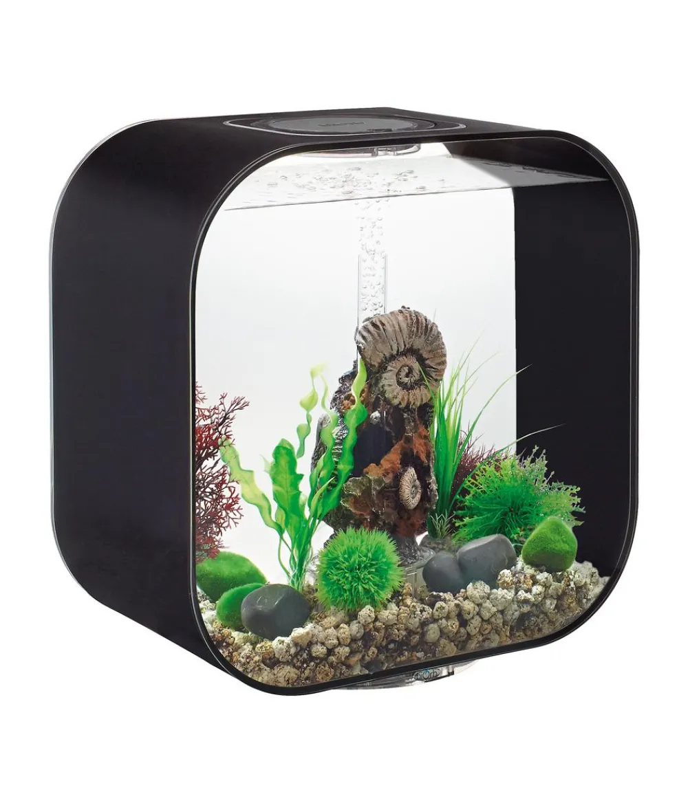 biOrb® Einsteiger Aquarien|Einzel Aquarien > Aquarium LIFE 30 MCR