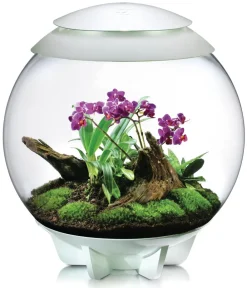 biOrb® Terrarium AIR 60 Weiß Sale