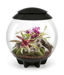 biOrb® Terrarium - Terrarium AIR 60 Schwarz