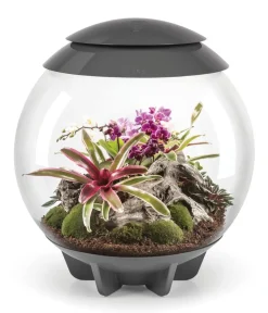 biOrb® Terrarium > Terrarium AIR 60