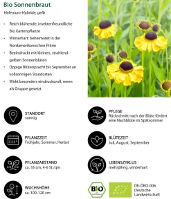 Dehner Bio Bio Sonnenbraut, Gelb Discount