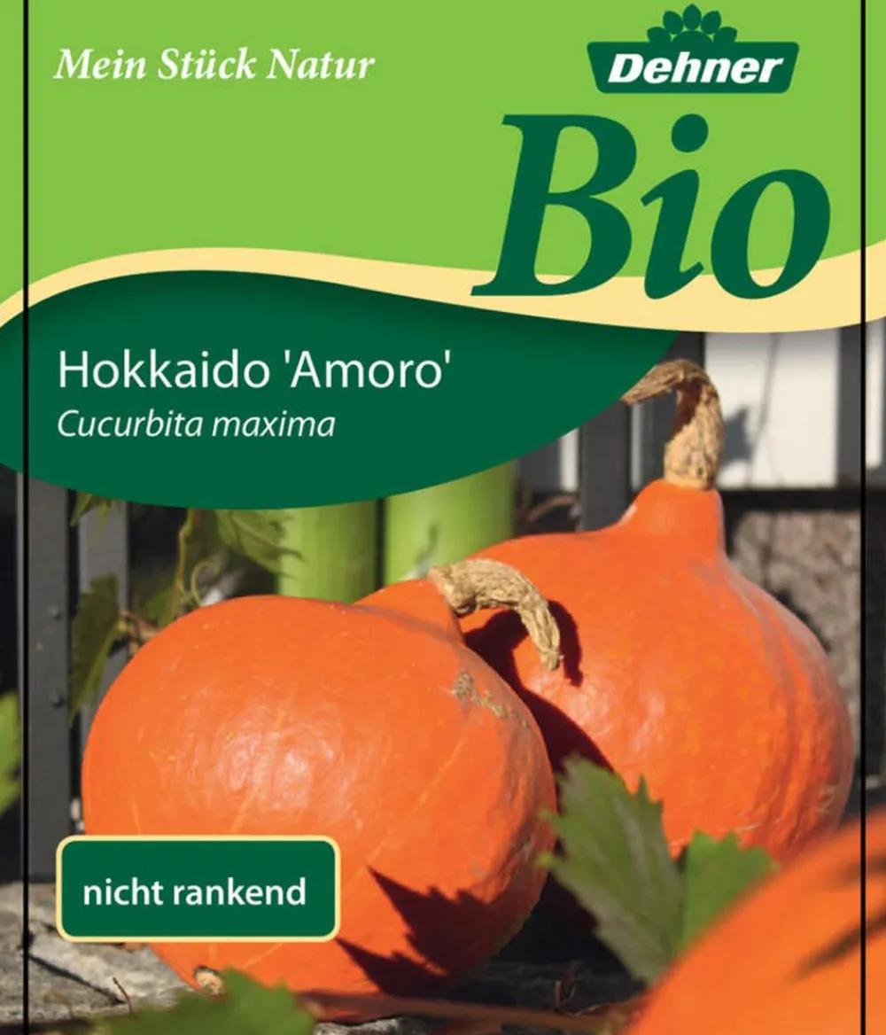 Dehner Bio Bio Speisekürbis 'Hokkaido' Orange Outlet