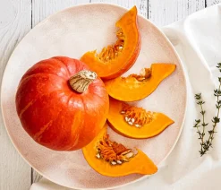Dehner Bio Bio Speisekürbis 'Hokkaido' Orange Outlet