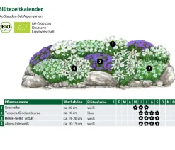 Dehner Bio Steingartenstauden|Bio Stauden > Bio Stauden-Set Alpengarten, 12-teilig