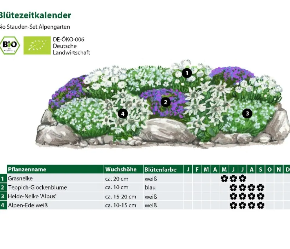 Dehner Bio Steingartenstauden|Bio Stauden > Bio Stauden-Set Alpengarten, 12-teilig