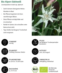 Dehner Bio Steingartenstauden|Bio Stauden > Bio Stauden-Set Alpengarten, 12-teilig