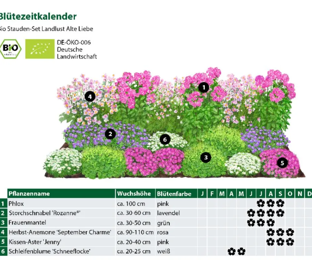Dehner Bio Bio Stauden|Gräser- & Stauden-Sets - Bio Stauden-Set Alte Liebe, Landlust Kollektion, 18-teilig