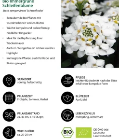 Dehner Bio Bio Stauden|Gräser- & Stauden-Sets - Bio Stauden-Set Alte Liebe, Landlust Kollektion, 18-teilig