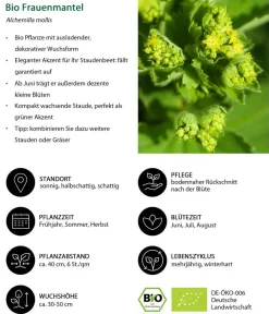 Dehner Bio Bio Stauden|Gräser- & Stauden-Sets - Bio Stauden-Set Alte Liebe, Landlust Kollektion, 18-teilig