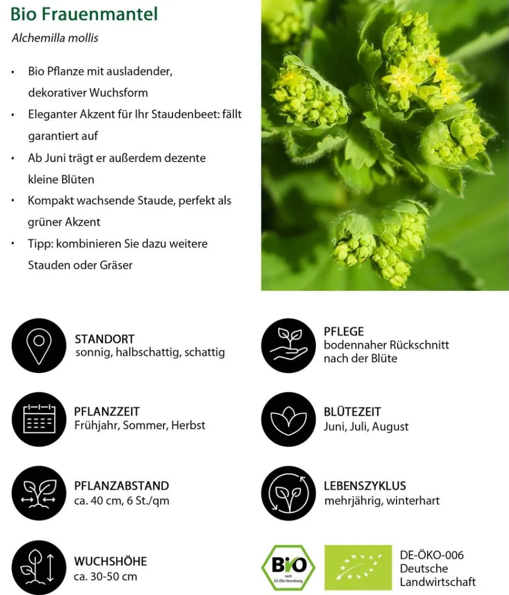 Dehner Bio Bio Stauden|Gräser- & Stauden-Sets - Bio Stauden-Set Alte Liebe, Landlust Kollektion, 18-teilig