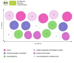 Dehner Bio Bio Stauden|Gräser- & Stauden-Sets - Bio Stauden-Set Alte Liebe, Landlust Kollektion, 18-teilig