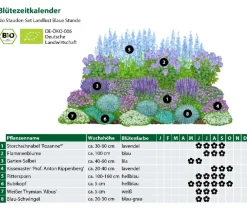 Dehner Bio Bio Stauden|Gräser- & Stauden-Sets > Bio Stauden-Set e Stunde, Landlust Kollektion, 24-teilig