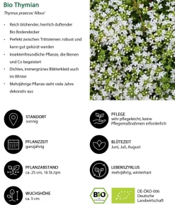 Dehner Bio Bio Stauden|Gräser- & Stauden-Sets > Bio Stauden-Set e Stunde, Landlust Kollektion, 24-teilig