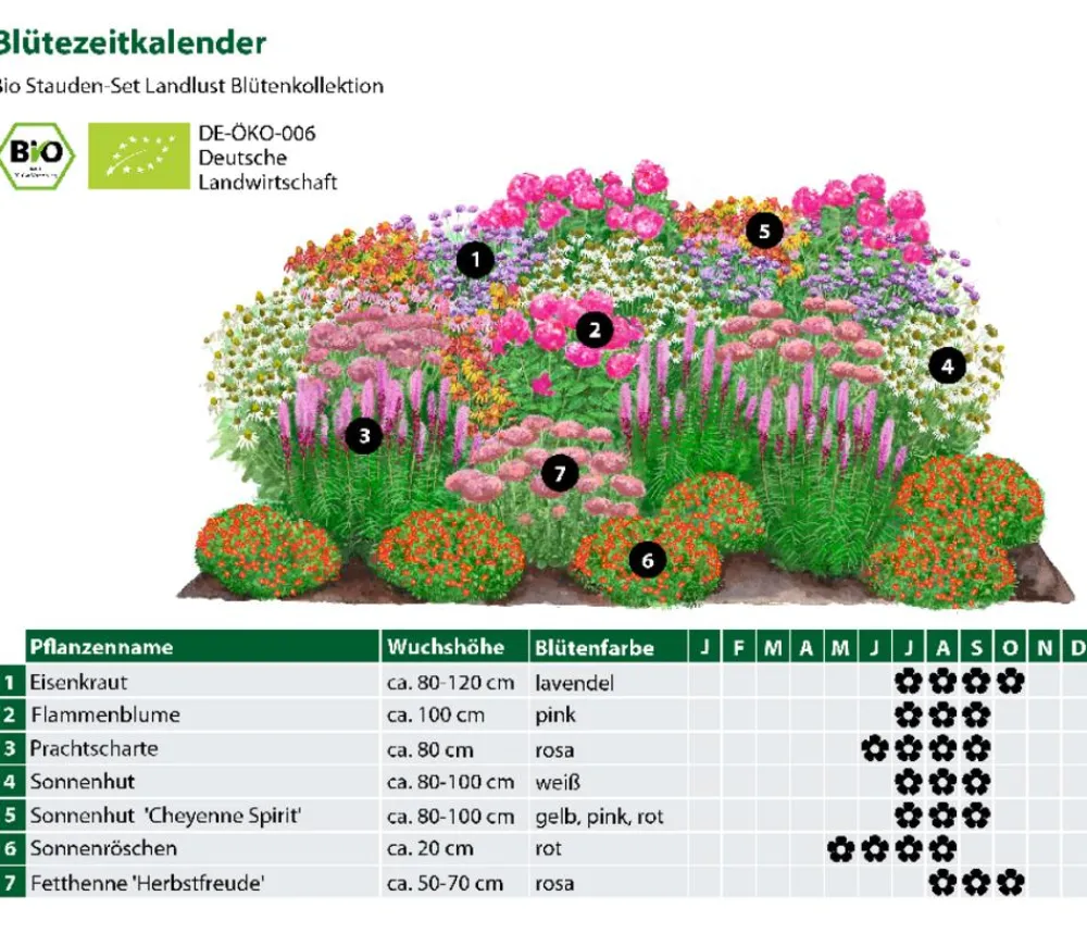 Dehner Bio Bio Stauden|Gräser- & Stauden-Sets > Bio Stauden-Set Blütenkollektion, Landlust Kollektion, 24-teilig