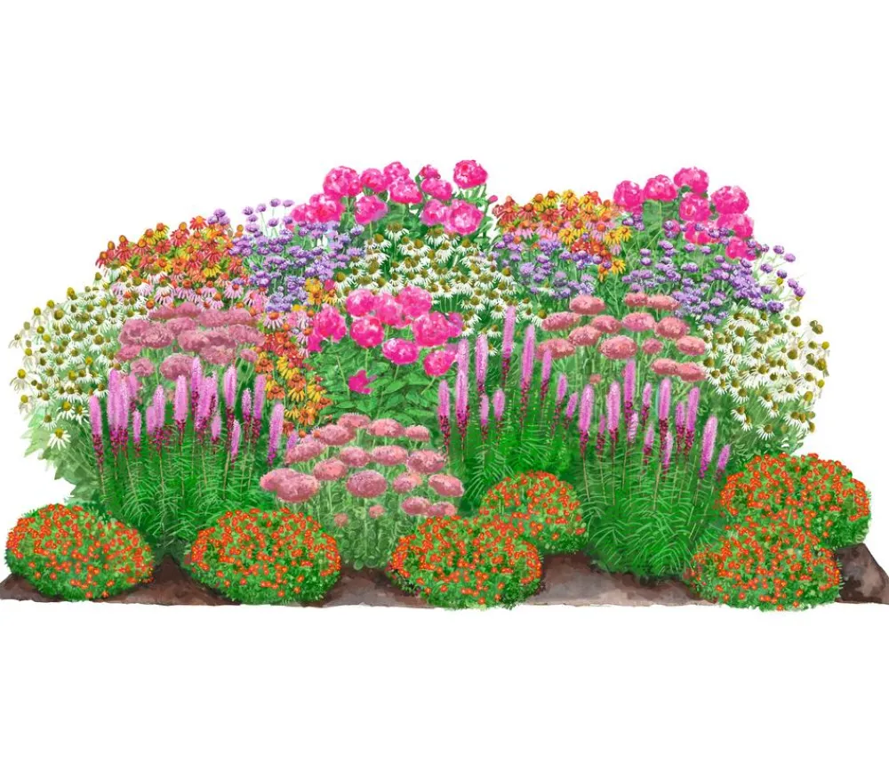Dehner Bio Bio Stauden|Gräser- & Stauden-Sets > Bio Stauden-Set Blütenkollektion, Landlust Kollektion, 24-teilig