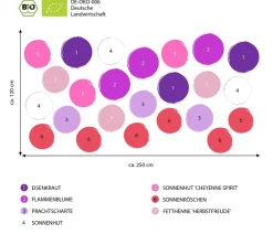 Dehner Bio Bio Stauden|Gräser- & Stauden-Sets > Bio Stauden-Set Blütenkollektion, Landlust Kollektion, 24-teilig