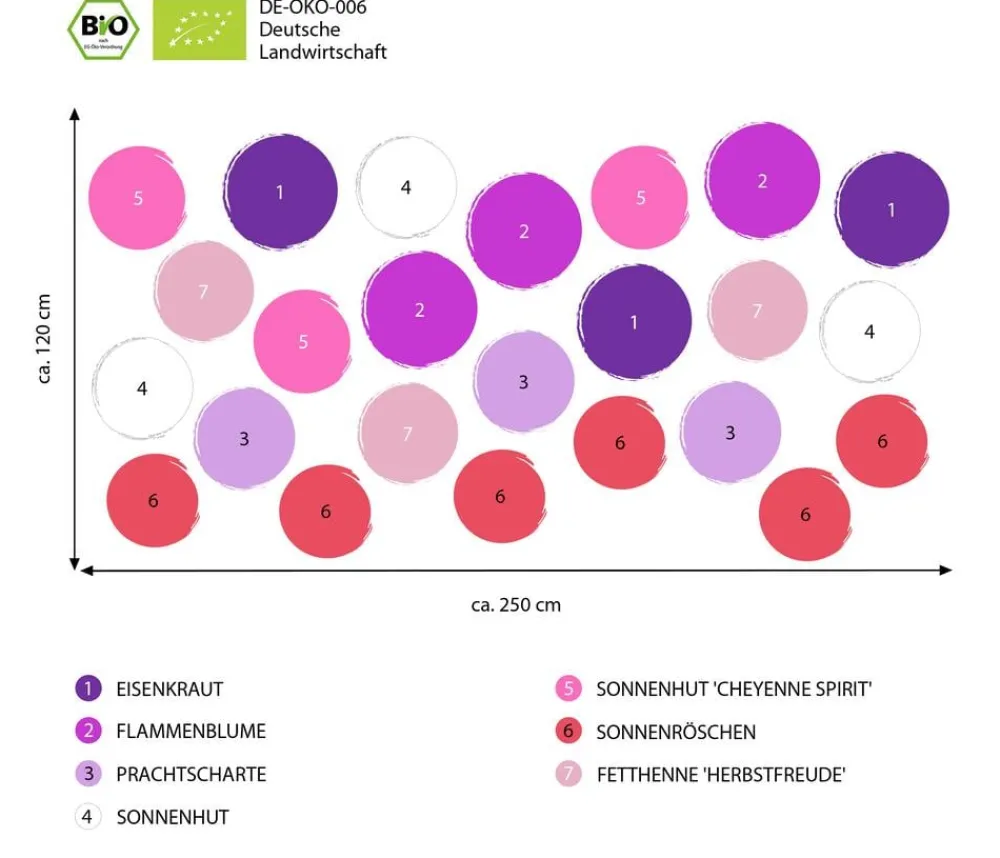 Dehner Bio Bio Stauden|Gräser- & Stauden-Sets > Bio Stauden-Set Blütenkollektion, Landlust Kollektion, 24-teilig