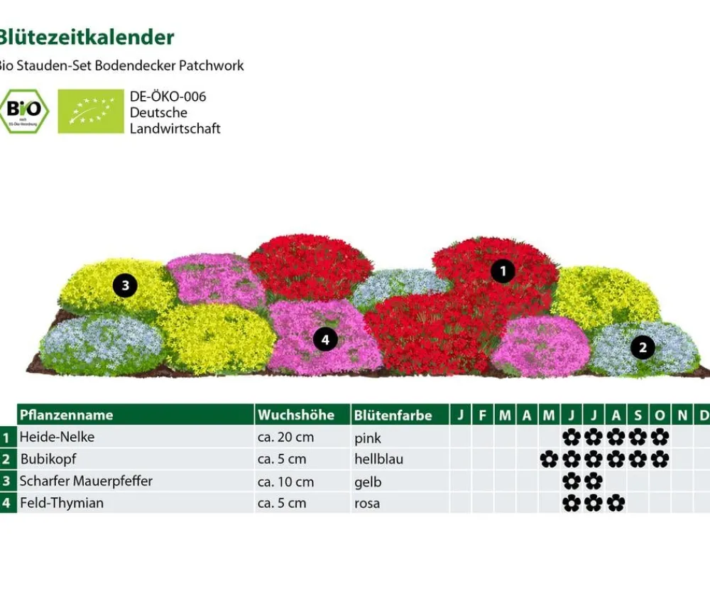 Dehner Bio Bio Stauden-Set Bodendecker Patchwork, 12-teilig Bunt Sale