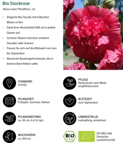 Dehner Bio Bio Stauden-Set Bunter Landhausgarten, 12-teilig Sale