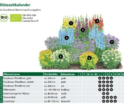 Dehner Bio Bio Stauden-Set Bunter Landhausgarten, 12-teilig Sale