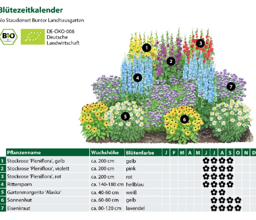 Dehner Bio Bio Stauden-Set Bunter Landhausgarten, 12-teilig Sale