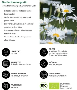 Dehner Bio Bio Stauden|Gräser- & Stauden-Sets > Bio Stauden-Set Einsteiger-Blütenmix, 24-teilig