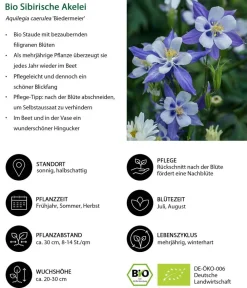 Dehner Bio Bio Stauden|Gräser- & Stauden-Sets > Bio Stauden-Set Einsteiger-Blütenmix, 24-teilig