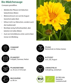 Dehner Bio Gräser- & Stauden-Sets|Bio Stauden > Bio Stauden-Set Es wird durchgeblüht, 24-teilig