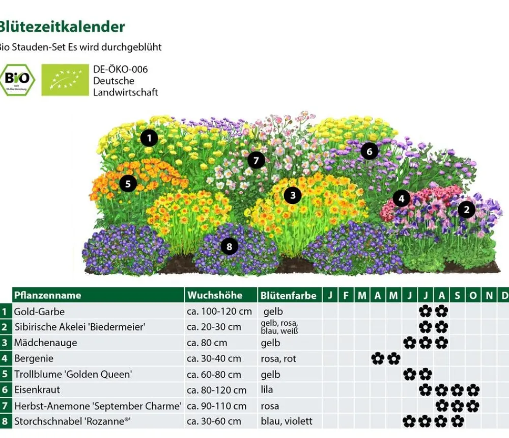 Dehner Bio Gräser- & Stauden-Sets|Bio Stauden > Bio Stauden-Set Es wird durchgeblüht, 24-teilig