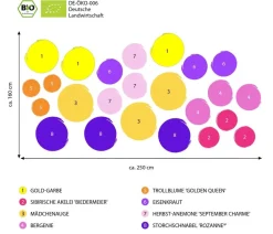 Dehner Bio Gräser- & Stauden-Sets|Bio Stauden > Bio Stauden-Set Es wird durchgeblüht, 24-teilig