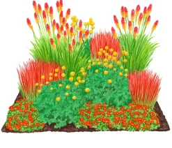 Dehner Bio Bio Stauden|Gräser- & Stauden-Sets > Bio Stauden-Set Feuerwerk im Garten, Landlust Kollektion, 12-teilig