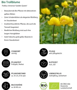 Dehner Bio Bio Stauden|Gräser- & Stauden-Sets > Bio Stauden-Set Feuerwerk im Garten, 24-teilig
