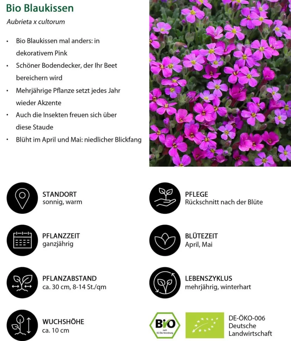 Dehner Bio Bio Stauden|Gräser- & Stauden-Sets > Bio Stauden-Set Feuerwerk im Garten, 24-teilig