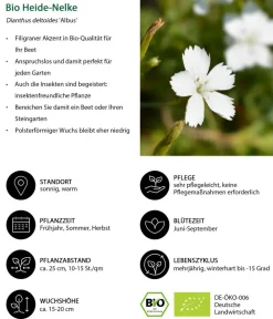 Dehner Bio Gräser- & Stauden-Sets|Sommerstauden > Bio Stauden-Set Großer Alpengarten, 24-teilig