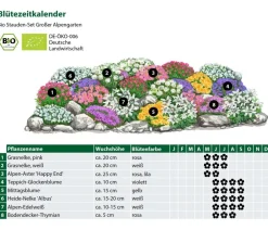 Dehner Bio Gräser- & Stauden-Sets|Sommerstauden > Bio Stauden-Set Großer Alpengarten, 24-teilig